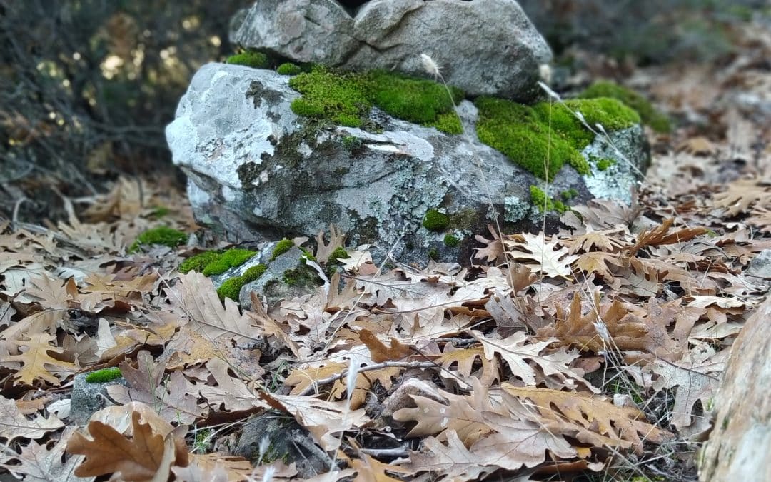 Otoño en el Valle de Alcudia