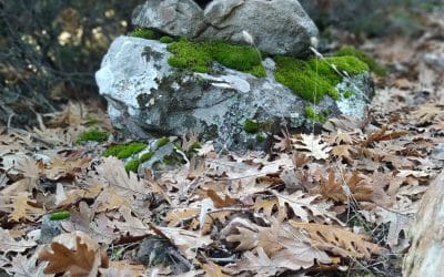 Otoño en el Valle de Alcudia