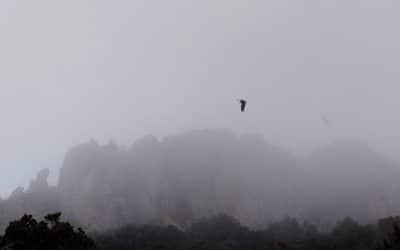 Invierno en el Parque Natural del Valle de Alcudia y Sierra Madrona